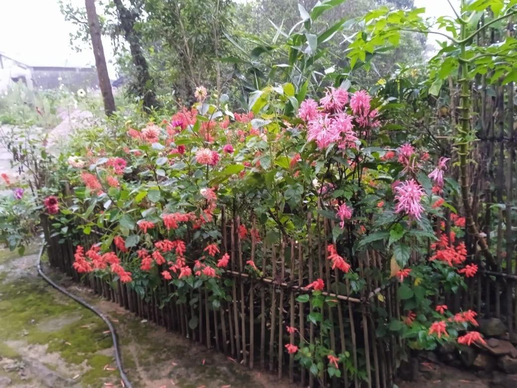 Meikha Homestay Pynursla Exterior foto